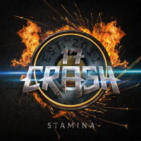 [17 Crash  Album Cover]
