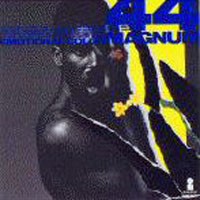[44 Magnum  Album Cover]