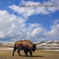[7 Miles to Pittsburgh  Album Cover]