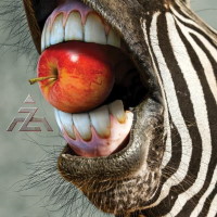[A-Z  Album Cover]