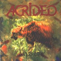 [Acrided  Album Cover]