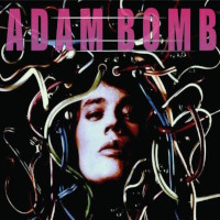 Adam Bomb Internet Bootleg Album Cover