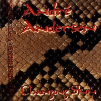 Andr Andersen Changing Skin Album Cover