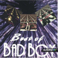 [Bad Boy  Album Cover]