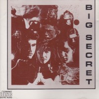 [Big Secret  Album Cover]