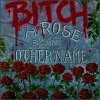 [Bitch  Album Cover]