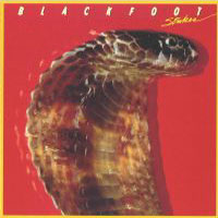 [Blackfoot  Album Cover]