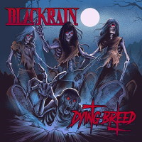 [BlackRain  Album Cover]