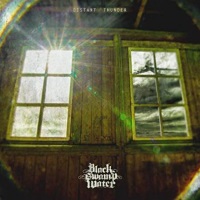 [Black Swamp Water  Album Cover]