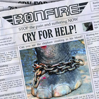 [Bonfire  Album Cover]