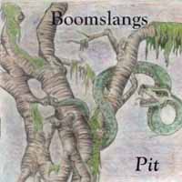 [Boomslangs  Album Cover]