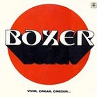 [Boxer  Album Cover]
