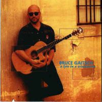 Bruce Gaitsch A Lyre in a Windstorm Album Cover