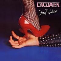 [Cacumen  Album Cover]