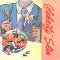 Celebrity Skin Celebrity Skin Album Cover