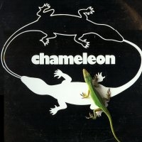 [Chameleon  Album Cover]