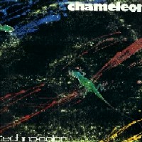 [Chameleon  Album Cover]