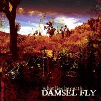 [Damsel Fly  Album Cover]