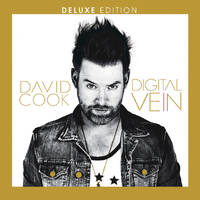 [David Cook  Album Cover]