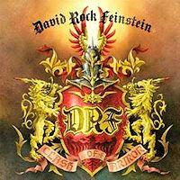 [David Rock Feinstein  Album Cover]