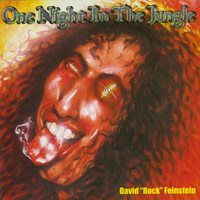 [David Rock Feinstein  Album Cover]