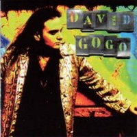 [David Gogo  Album Cover]