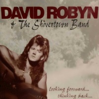 [David Robyn and the Shivertown Band  Album Cover]