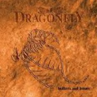 [Dragonfly  Album Cover]