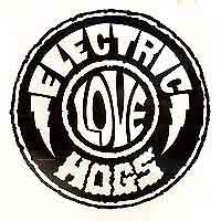 [Electric Love Hogs  Album Cover]
