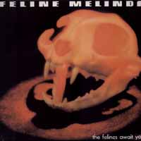 [Feline Melinda  Album Cover]