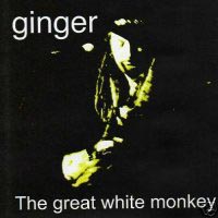 [Ginger  Album Cover]