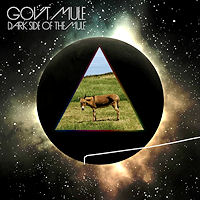 [Gov't Mule  Album Cover]