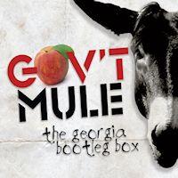 [Gov't Mule  Album Cover]