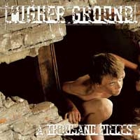 [Higher Ground  Album Cover]