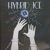 [Hybrid Ice  Album Cover]