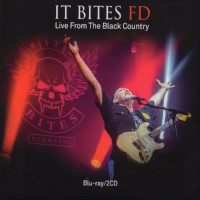 [It Bites FD  Album Cover]