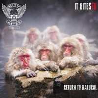 [It Bites FD  Album Cover]