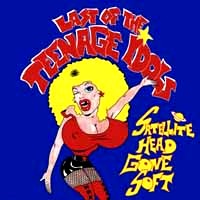 [Last Of The Teenage Idols  Album Cover]