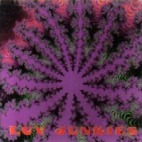 [Luv Junkies  Album Cover]
