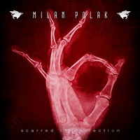 [Milan Polak  Album Cover]