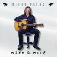 [Milan Polak  Album Cover]