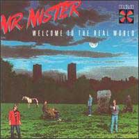 [Mr. Mister  Album Cover]