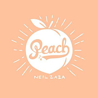 [Neil Zaza  Album Cover]
