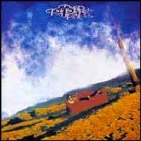 Pata Pata Album Cover