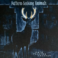 [Pattern-Seeking Animals  Album Cover]