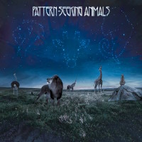 [Pattern-Seeking Animals  Album Cover]