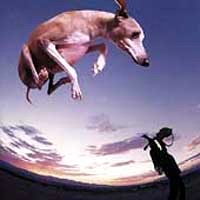 [Paul Gilbert  Album Cover]