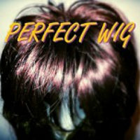 [Perfect Wig  Album Cover]