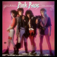 Pink Rose Just What We Needed Album Cover