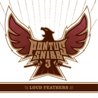 [Pontus Snibb 3  Album Cover]